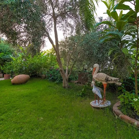 Mavi Deniz ゲストハウス セリミエ