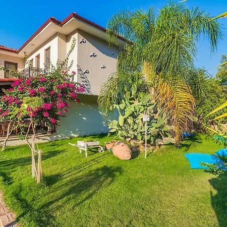 Mavi Deniz 3* セリミエ