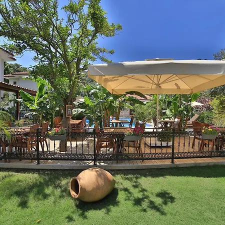 Mavi Deniz セリミエ