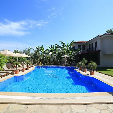 Mavi Deniz セリミエ