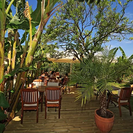 Mavi Deniz 3* セリミエ